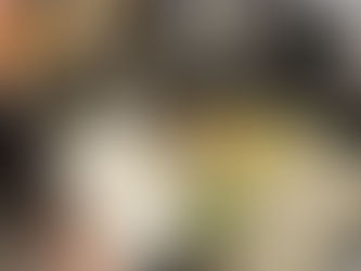 Dégustattion - "Côte d'Opale Gourmande"