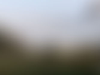 [A la Saint-Luc, "lou gran truc" !]