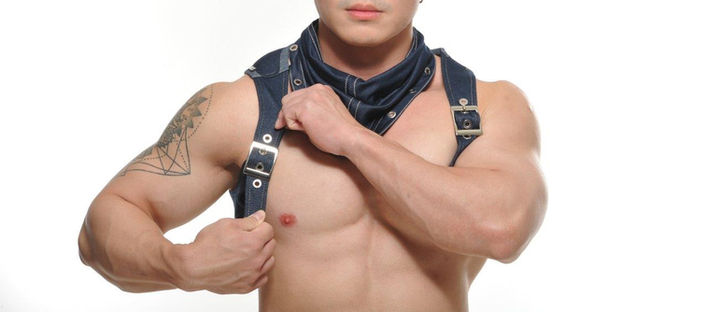 denim blue vest chest harness