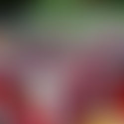 How Often Should You Inspect and Maintain Your Fire Extinguishers?