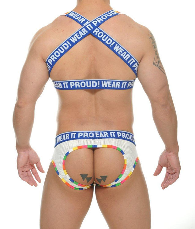 rainbow pride chest harness