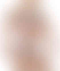 rainbow pride chest harness