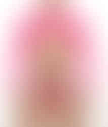 men cropped top mesh party wear pink