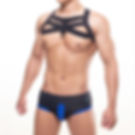 Gladiator Harness Black