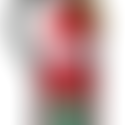 A Guide to 2kg Dry Chemical Powder ABE Fire Extinguishers: Everything You Need to Know