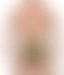 men sexy trunk underwear army green