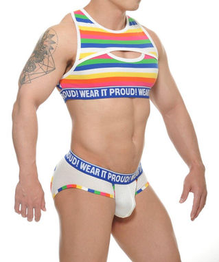 rainbow pride chest harness