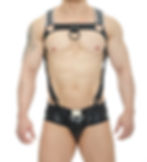 gay fetish party harness