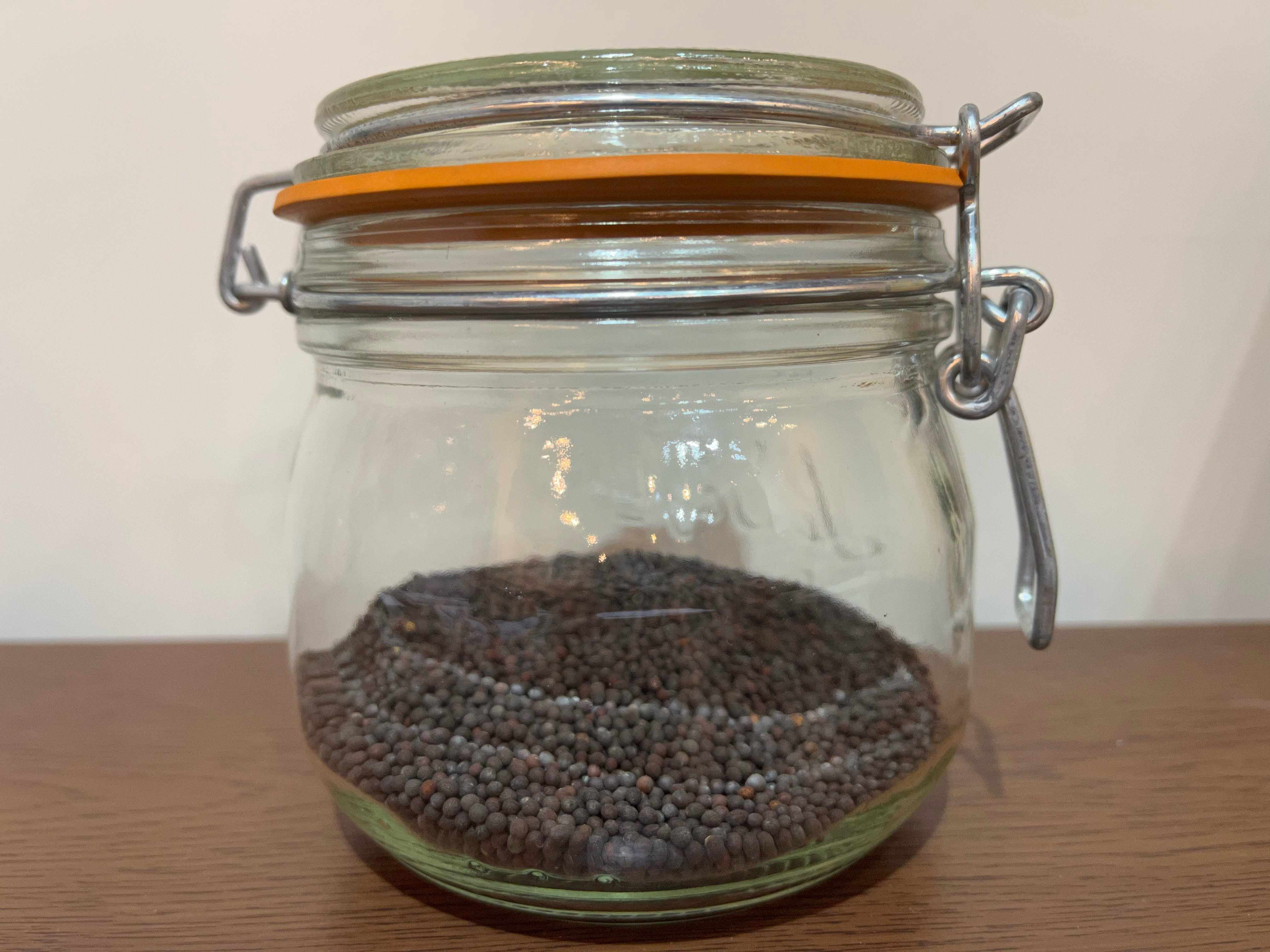 有機ブラックマスタードシード