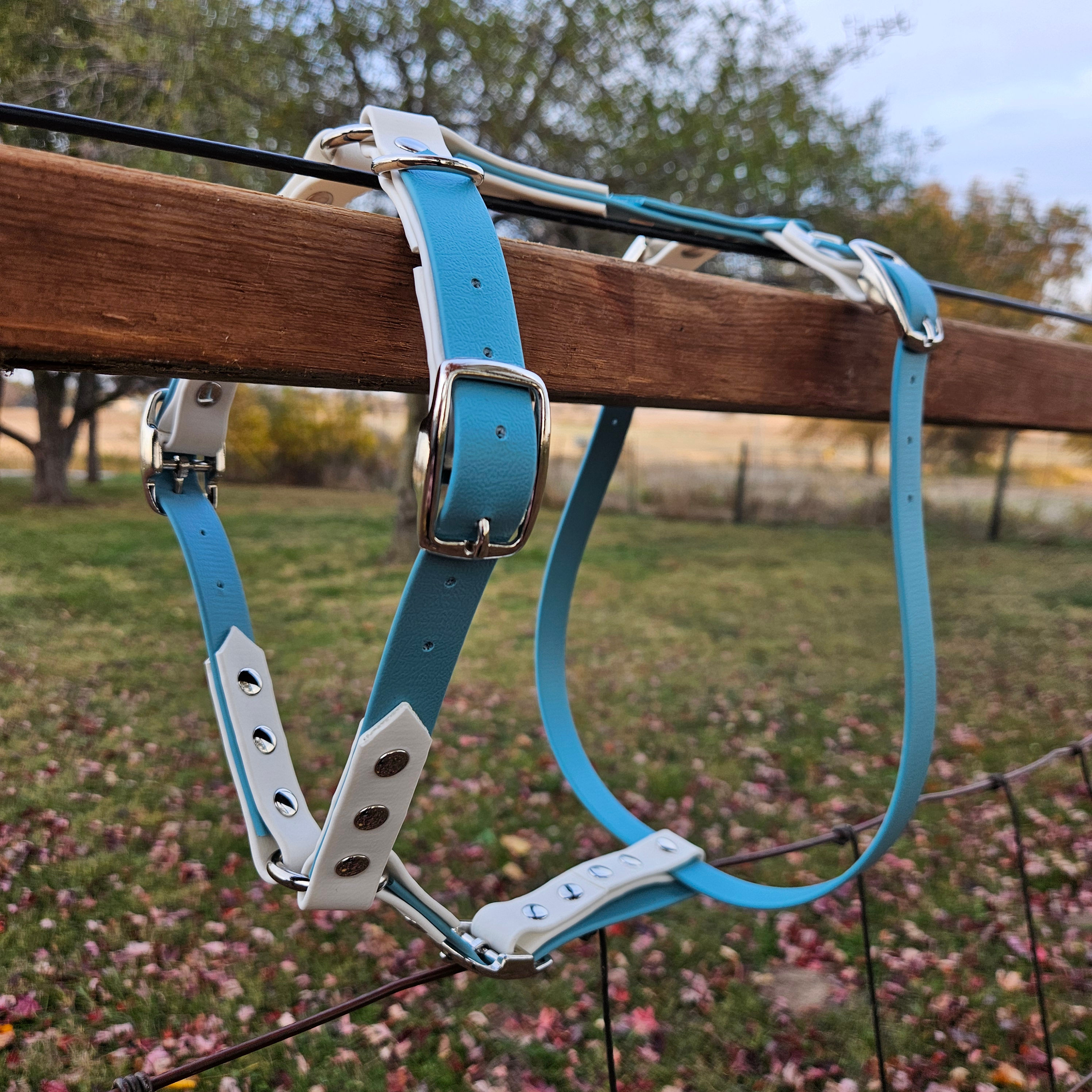 Biothane Dog Harness - Adjustable Bar Buckle Harness - Custom Made to Fit