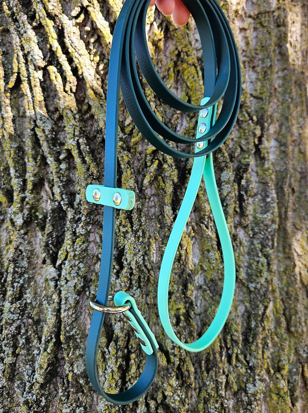 Thumbnail: 1/2 Inch Slip Leash - Custom Colors - Two Color, Two Tone - Biothane Dog Leash