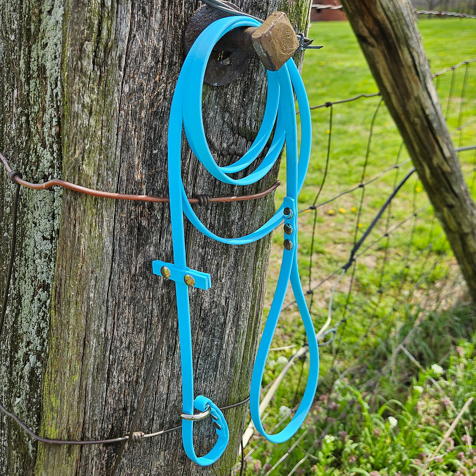 Thumbnail: 3/8" Wide Slip Leash - Solid Color, Single Tone - Biothane Dog Leash