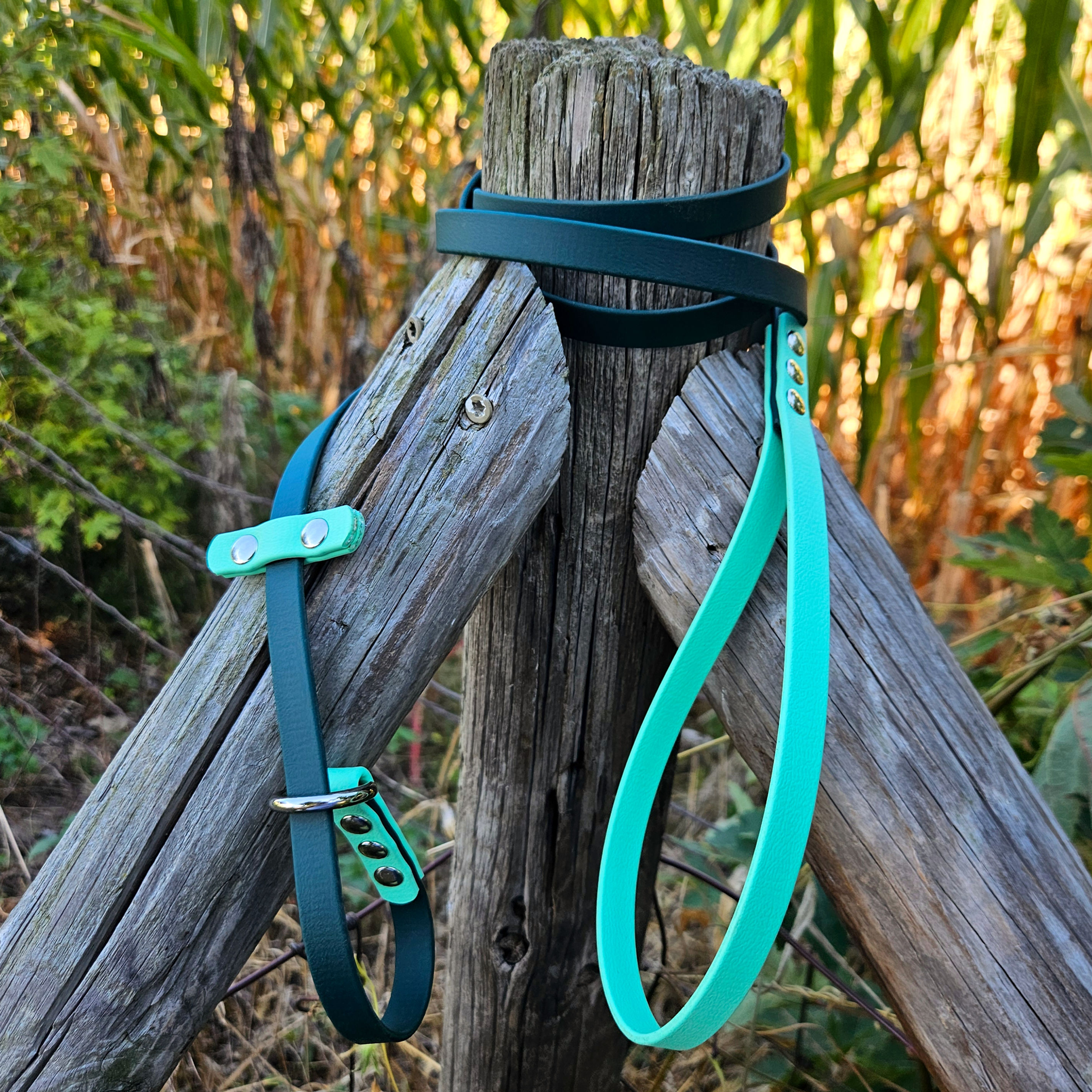 1/2 Inch Slip Leash - Custom Colors - Two Color, Two Tone - Biothane Dog Leash