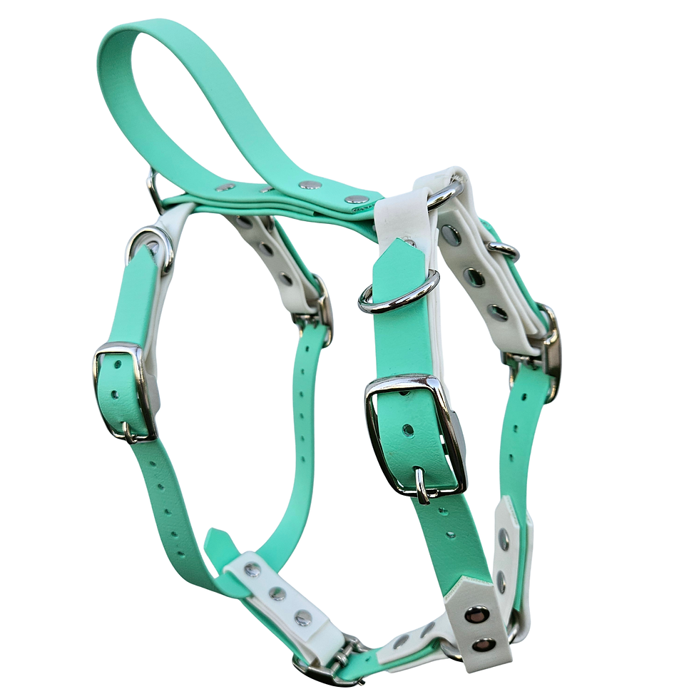 Thumbnail: Custom Biothane Dog Harness with Handle - Made to Fit Bar Buckle Harness
