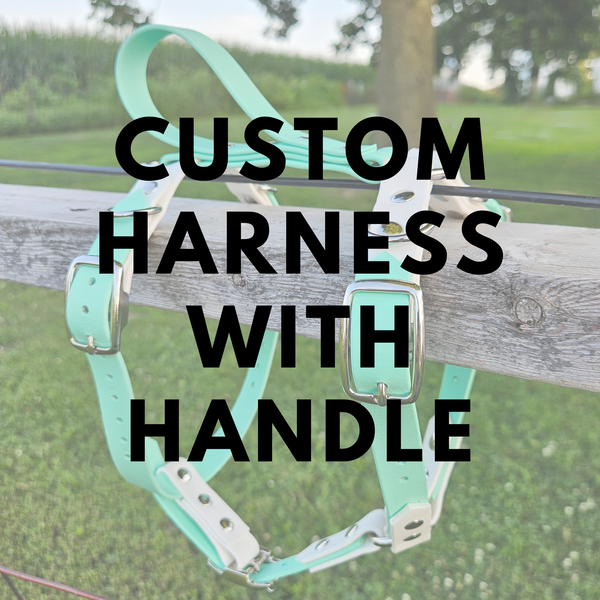 Custom Biothane Dog Harness with Handle - Made to Fit Bar Buckle Harness