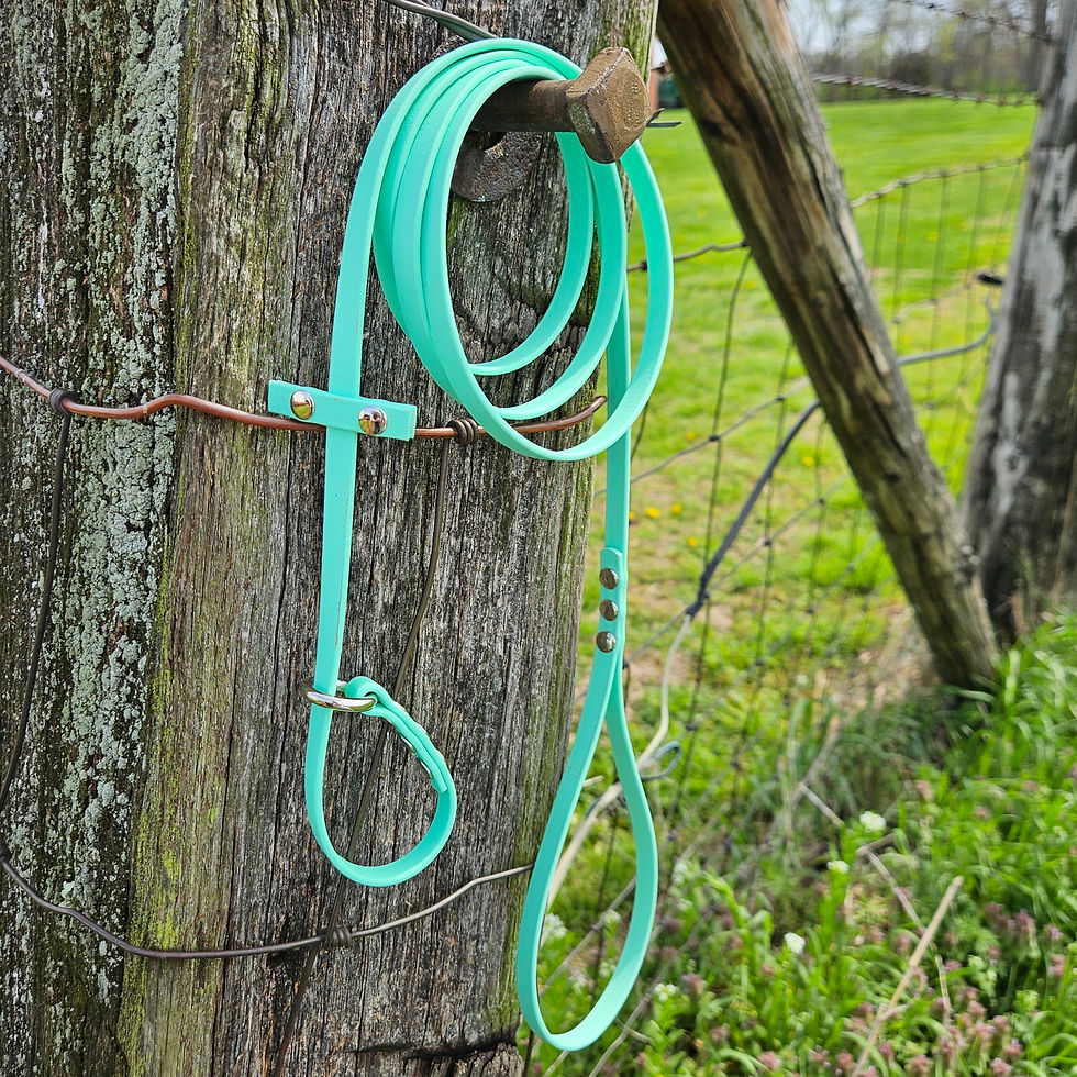 Thumbnail: 3/8" Wide Slip Leash - Solid Color, Single Tone - Biothane Dog Leash