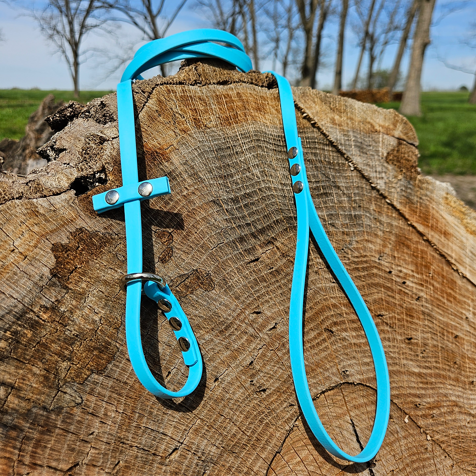 Thumbnail: 3/8" Wide Slip Leash - Solid Color, Single Tone - Biothane Dog Leash