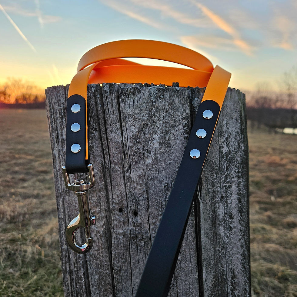 Thumbnail: 3/4" Wide Clip Leash - Two Color Two Tone - Custom Waterproof Biothane Dog Leash