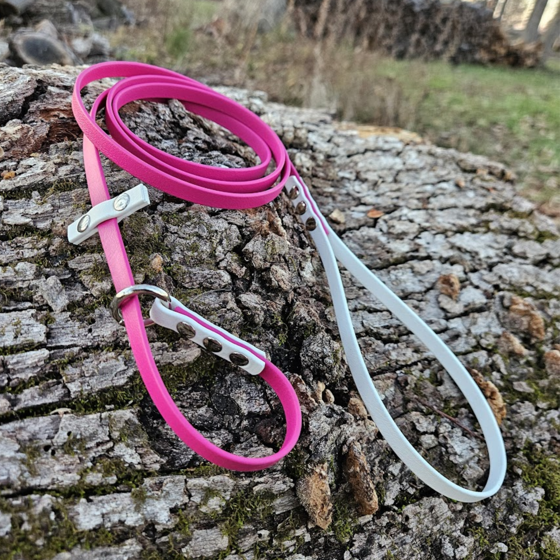 3/8" Wide Slip Leash - Custom Colors - Two Color, Two Tone - Biothane Dog Leash