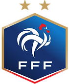 LOGO FFF.png