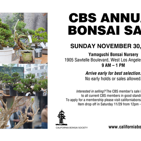 CBS ANNUAL BONSAI SALE 11/30/25