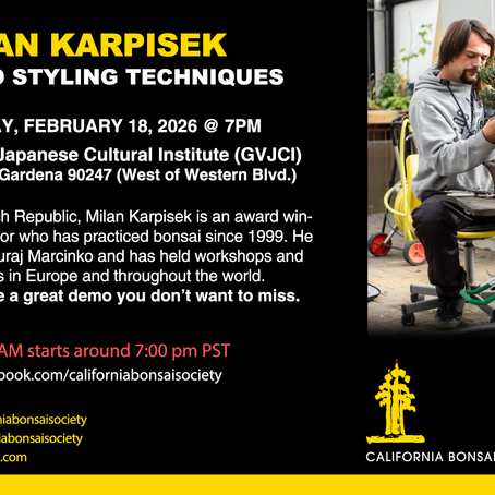 MILAN KARPISEK ADVANCED STYLING