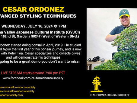 CESAR ORDONEZ ADVANCED STYLING