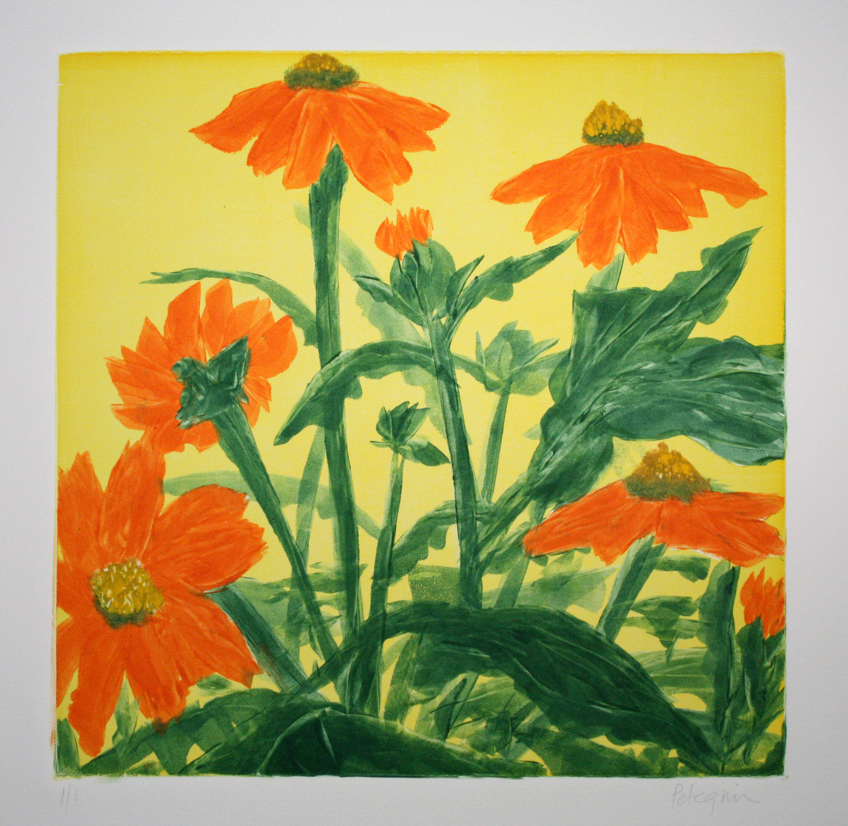 Robert Pelegrin Monotype 21