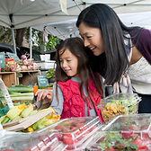 Farmers Market Shopping