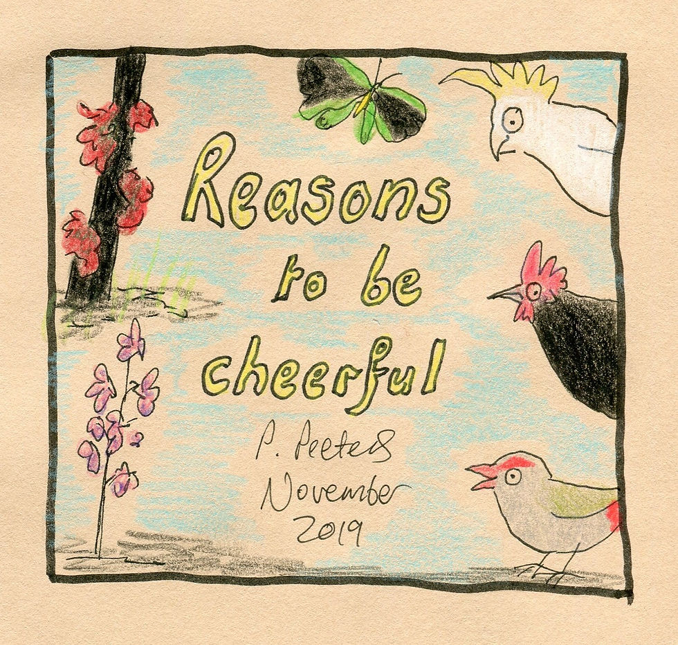43. Reasons to be cheerful. NFS