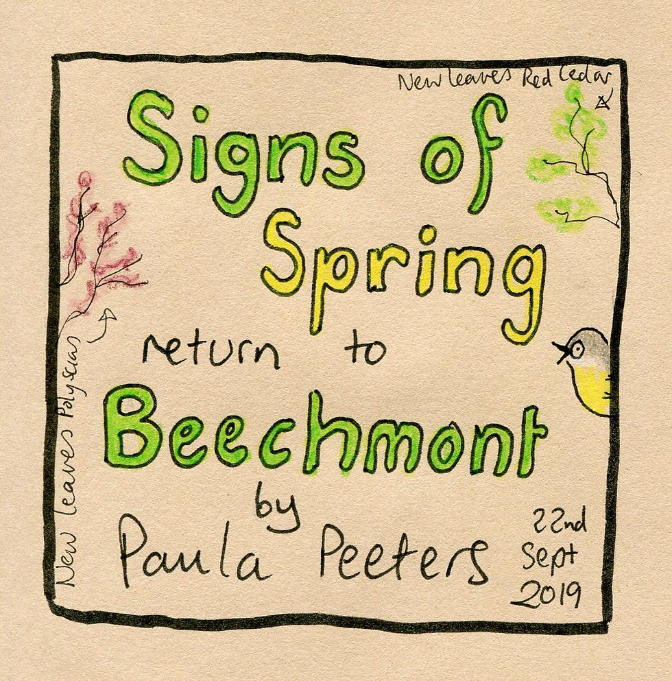 41. Signs of Spring return to Beechmont. NFS