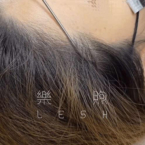 樂煦LESH