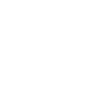 ico-grafico.webp