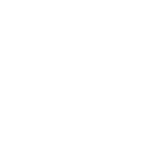 ico-remoto.webp