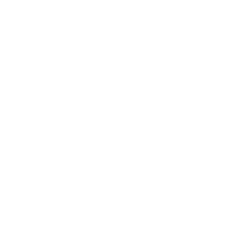 ico-seguridad.webp