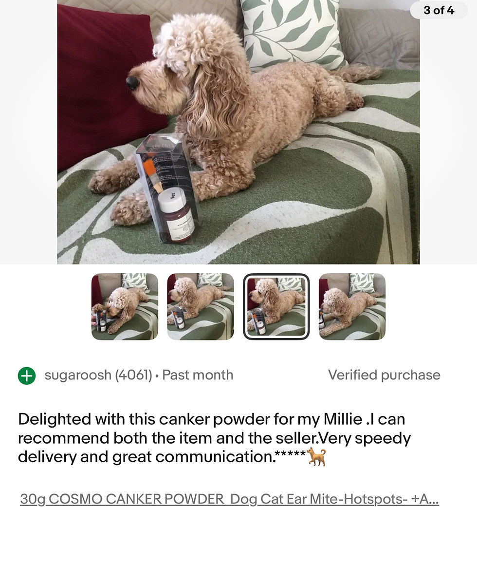 Miniaturbild: 50g Cosmo Canker Powder Tin+ Application Brush Ear Mites, Hotspots Magic