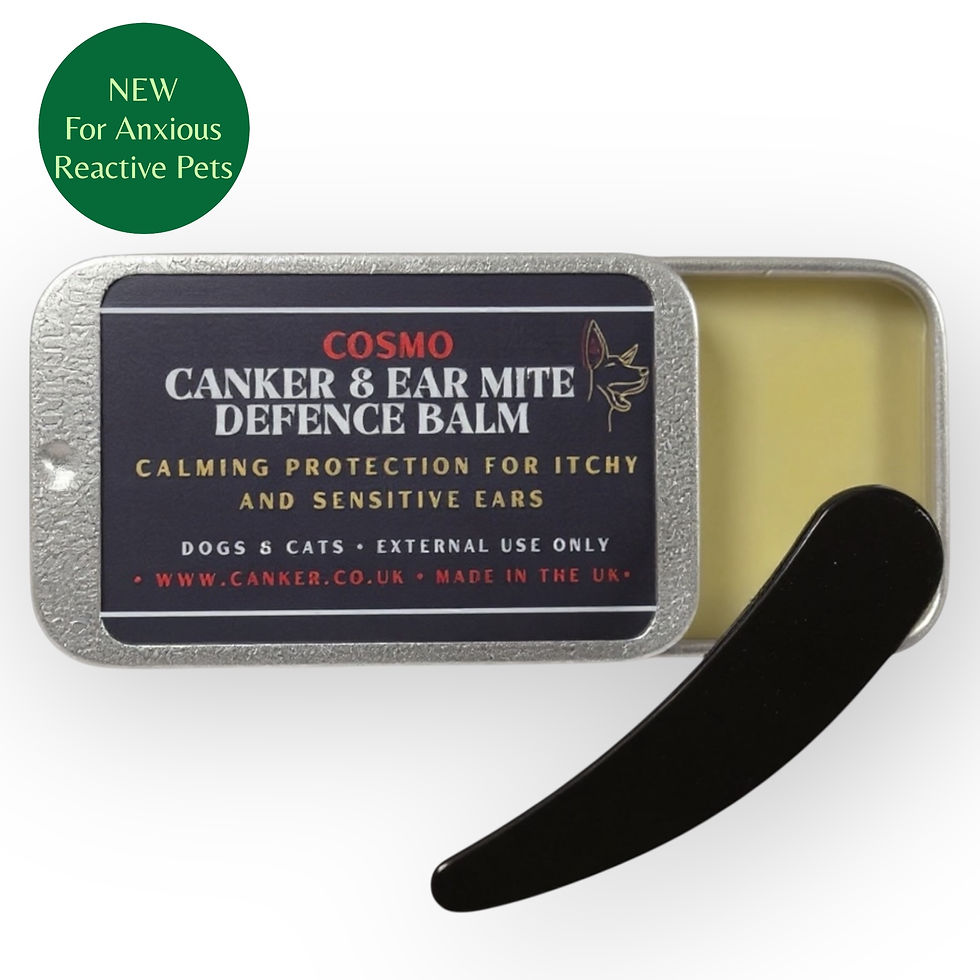 Canker and ear mite defence balm for dogs and cats with applicator, natural itchy ear care by Cosmo Pet Products