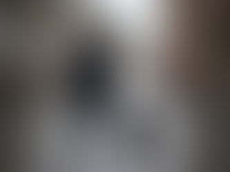 The UK Weather Is Destroying Your Dog’s Ears and You Don’t Even Realise It