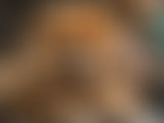 How to Successfully Groom Your Large Breed Dog Like a Professional at Home: Tips and Techniques