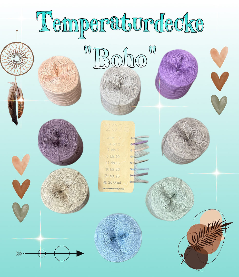 Miniaturbild: Temperaturdecke 2025