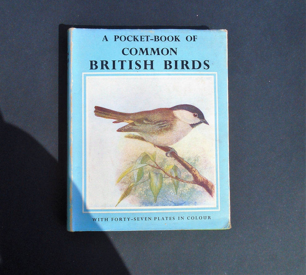 Thumbnail: Identify British Birds  www.bookloversguides.com