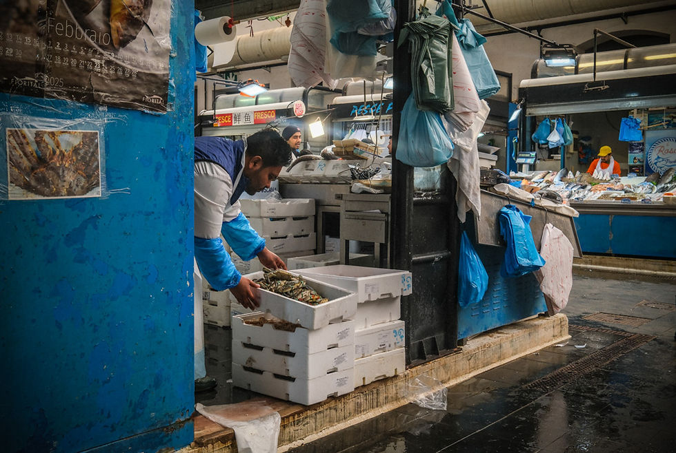 Venditore sistema cassette di pesce all’interno del mercato Esquilino, lavoro quotidiano nelle convivenze parallele – Foto © Giorgio Cosulich