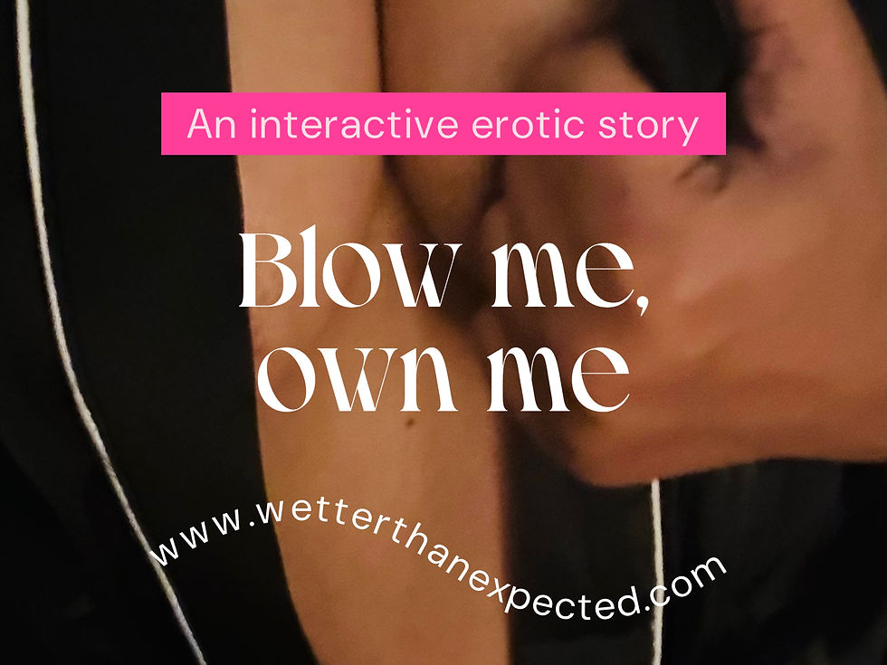 interactive erotic story