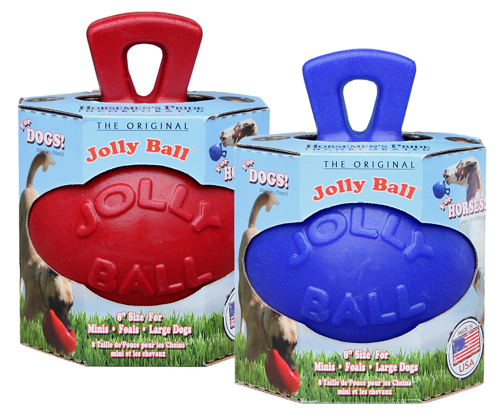 Jolly Ball Dual