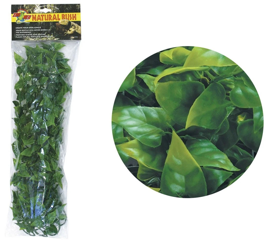 Zoo Med Large Mexican Phyllo