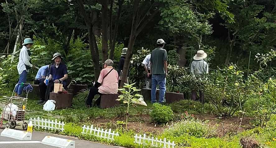 IMG_20230714_113056.PNG