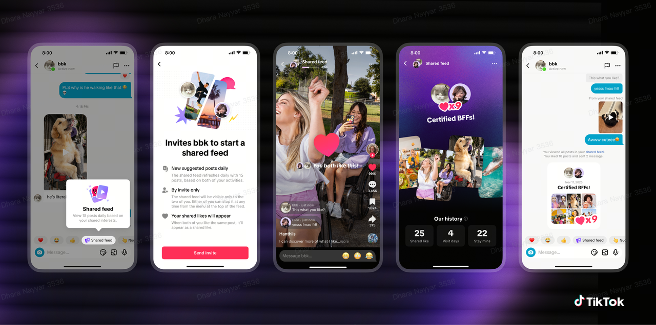 shared feed tiktok