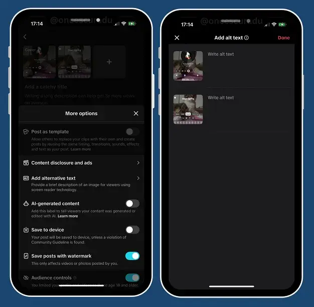 tiktok alt text