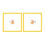 Thumbnail: Synoptophore Slides - Fusion