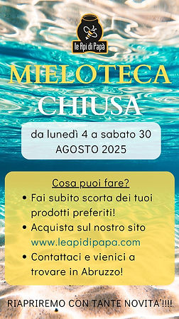 Ferie Chiusura Estiva.jpg